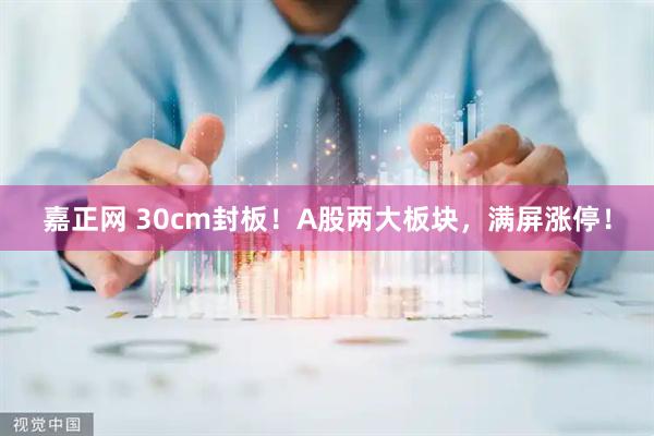嘉正网 30cm封板！A股两大板块，满屏涨停！