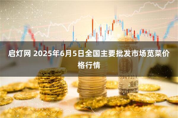 启灯网 2025年6月5日全国主要批发市场苋菜价格行情