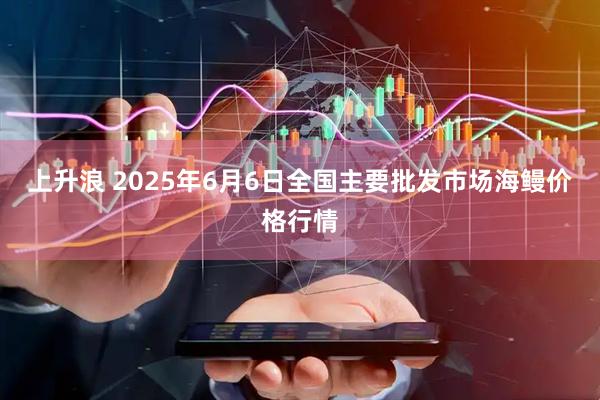 上升浪 2025年6月6日全国主要批发市场海鳗价格行情