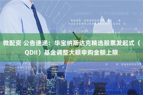 微配资 公告速递：华宝纳斯达克精选股票发起式（QDII）基金调整大额申购金额上限