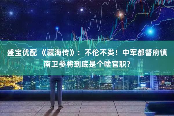 盛宝优配 《藏海传》：不伦不类！中军都督府镇南卫参将到底是个啥官职？