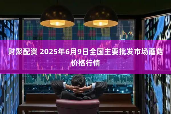 财聚配资 2025年6月9日全国主要批发市场蘑菇价格行情