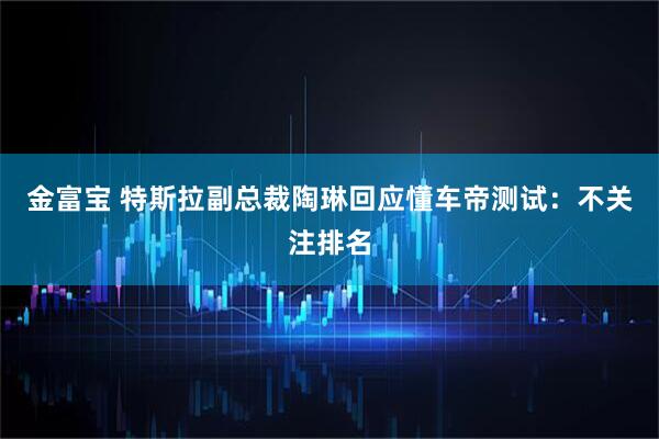 金富宝 特斯拉副总裁陶琳回应懂车帝测试：不关注排名