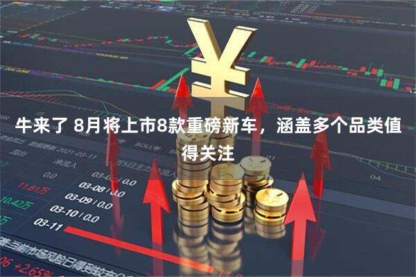 牛来了 8月将上市8款重磅新车，涵盖多个品类值得关注