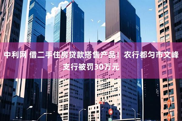 中利网 借二手住房贷款搭售产品！农行都匀市文峰支行被罚30万元