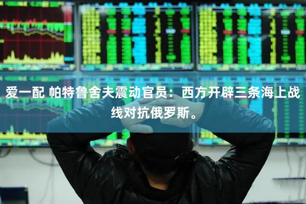 爱一配 帕特鲁舍夫震动官员：西方开辟三条海上战线对抗俄罗斯。