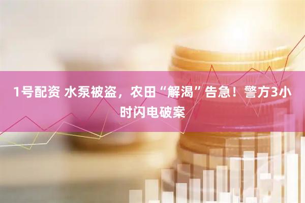 1号配资 水泵被盗，农田“解渴”告急！警方3小时闪电破案