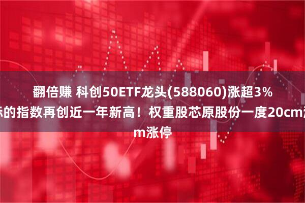 翻倍赚 科创50ETF龙头(588060)涨超3%，标的指数再创近一年新高！权重股芯原股份一度20cm涨停