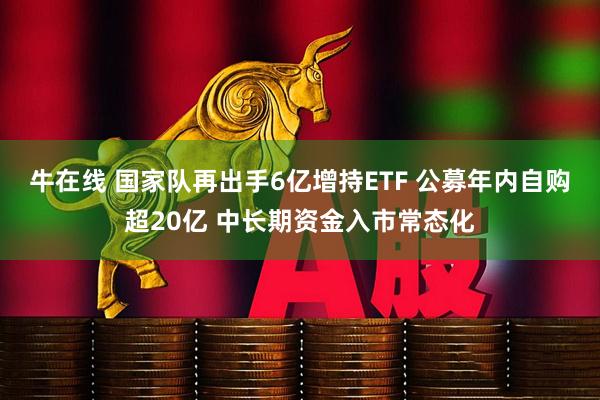 牛在线 国家队再出手6亿增持ETF 公募年内自购超20亿 中长期资金入市常态化