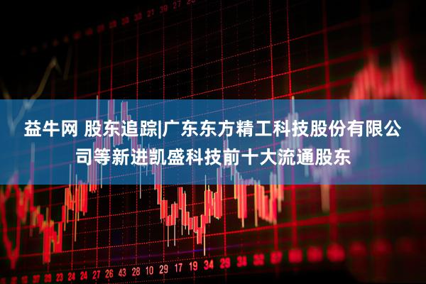 益牛网 股东追踪|广东东方精工科技股份有限公司等新进凯盛科技前十大流通股东