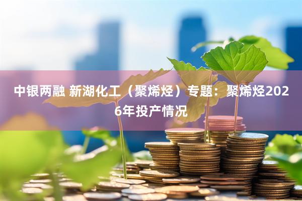 中银两融 新湖化工（聚烯烃）专题：聚烯烃2026年投产情况